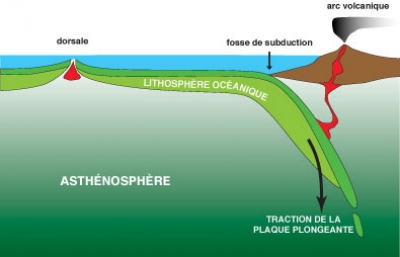 Coupe schématique d'une zone de subduction