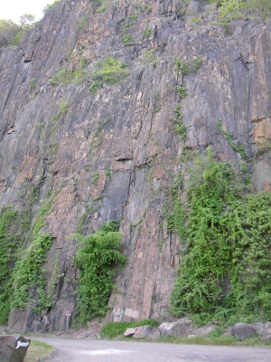 Les basaltes de Palisades, en bordure de l'Hudson River, où nous injectons de l'eau équilibrée avec des pressions de CO<sub>2</sub> de l'ordre du bar