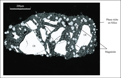 échantillon d'olivine qui a réagit a 500°C et 1 kbar dans une presse hydraulique pendant 4 heures.
On voit des carbonates globuleux qui se sont formés dans une matrice riche en silice et des olivine résiduelles. 