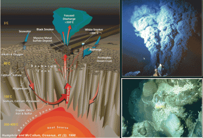 Hydrothermal circulation at mid-ocean ridges is a fundamental process that impacts the transfer of energy and matter from the interior of the Earth to the crust, hydrosphere and biosphere. Seawater circulates through the permeable upper oceanic crust at mid-ocean ridges, exchanges chemicals with the surrounding rocks, and is heated up to temperatures of a few hundred degrees Celsius. This hot fluid flows up and is expelled at hydrothermal vent sites, in the form of black smokers, or diffuse vents. Unique ecosystems form near these vents, with a variety of life forms that use the chemicals in the hot fluid as a source of energy.