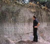 Photo 3 : Dépôts pliniens de l'éruption de 79 près de Stabiae.

On note l'évolution de la couleur qui correspond au changement de composition des laves. La statification horizontale indique une mise en place sous forme de pluie de ponces.

Cliché Sigurdsson et al, 1985


