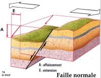 Figure 1a : Failles Normales : 
La composante horizontale du glissement correspond à un écartement (E) qui s'accompagne de l'affaissement d'un des blocs par rapport à l'autre.

Ces failles se rencontrent dans les régions étirées et amincies comme les dorsales médio-océaniques et les rifts continentaux.
