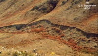 Figure 1b : Escarpement de faille normale. 
Séisme de Fuyun, Chine-Mongolie, M=8, 11 août 1931.
