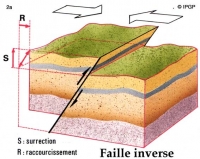 Figure 2a : Failles inverses. La composante horizontale du glissement correspond à un rapprochement (R) qui s'accompagne du chevauchement d'un des blocs sur l'autre.

Ces failles se rencontrent dans les régions raccourcies et épaissies comme au front des chaînes de montagne.
