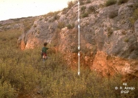 Figure 4a: faille normale de Kaparelli. La base de l'escarpement est soulignée par le glissement cosismique métrique de 1981. Cliché R. Armijo, IPGP
